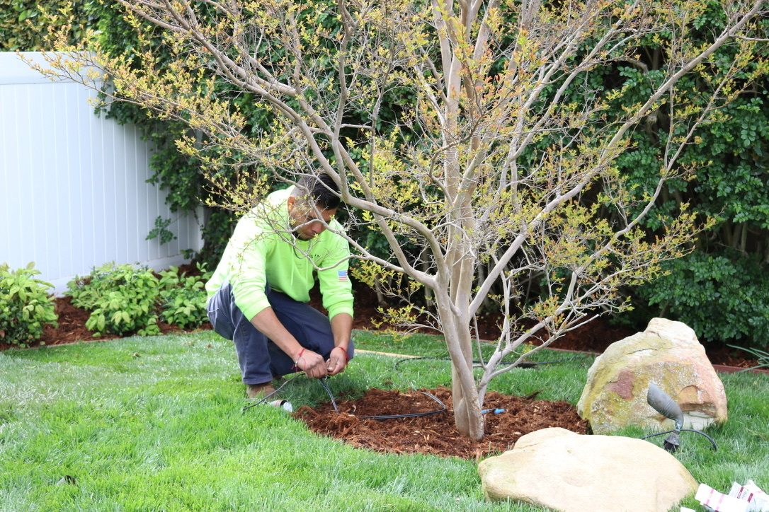 Vision Landscaping technician installing smart irrigation system in drought-tolerant landscape design for a Simi Valley property